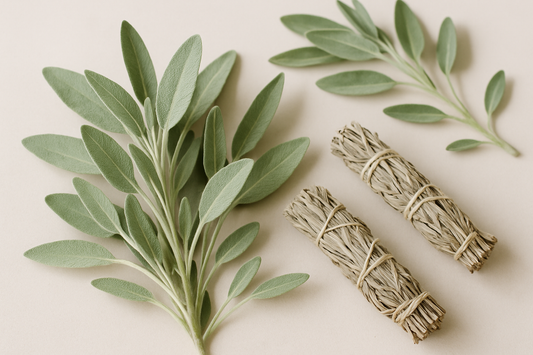 sage
